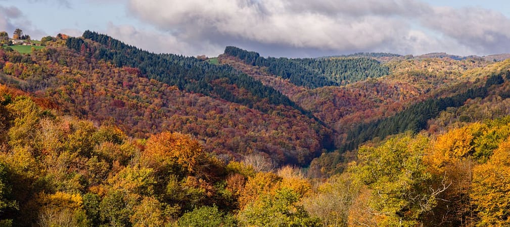 Herfstkleuren departement de Lot