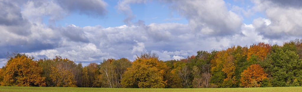 Herfstkleuren departement de Lot