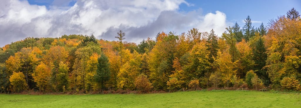 Herfstkleuren departement de Lot