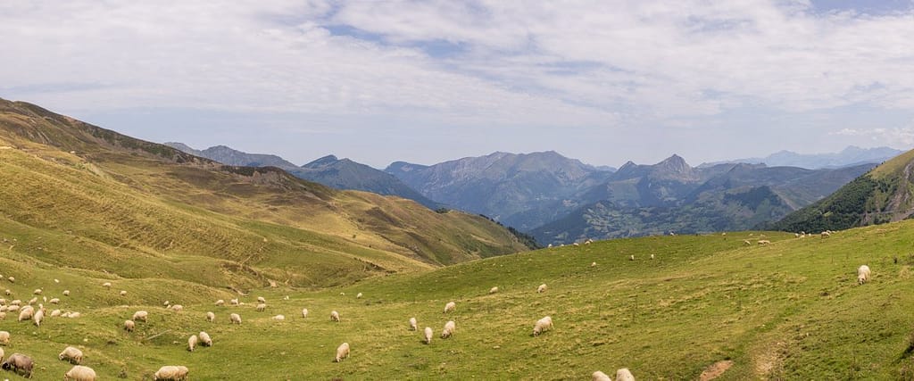 D918 Col d' Aubisque