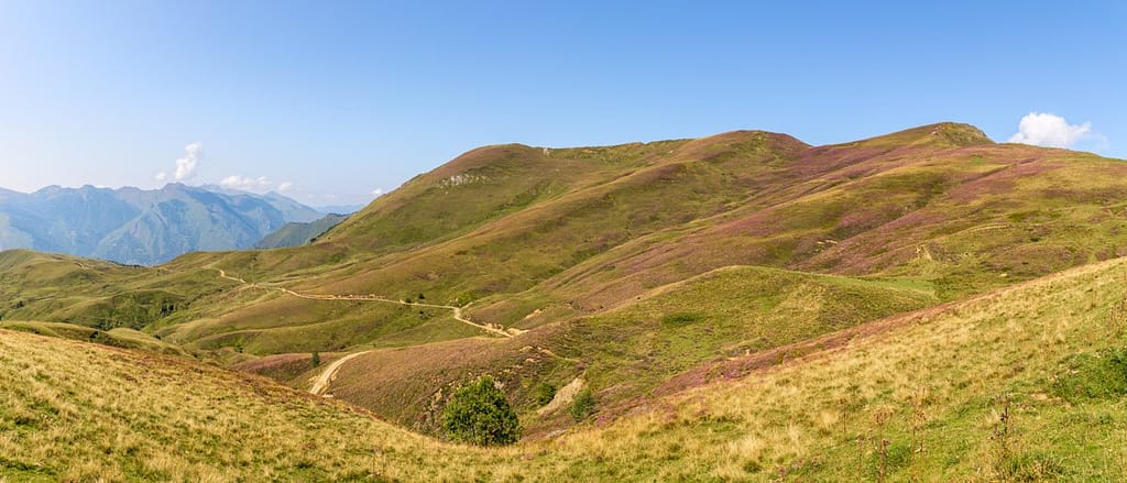 Langs de D918 Col d'Aubisque