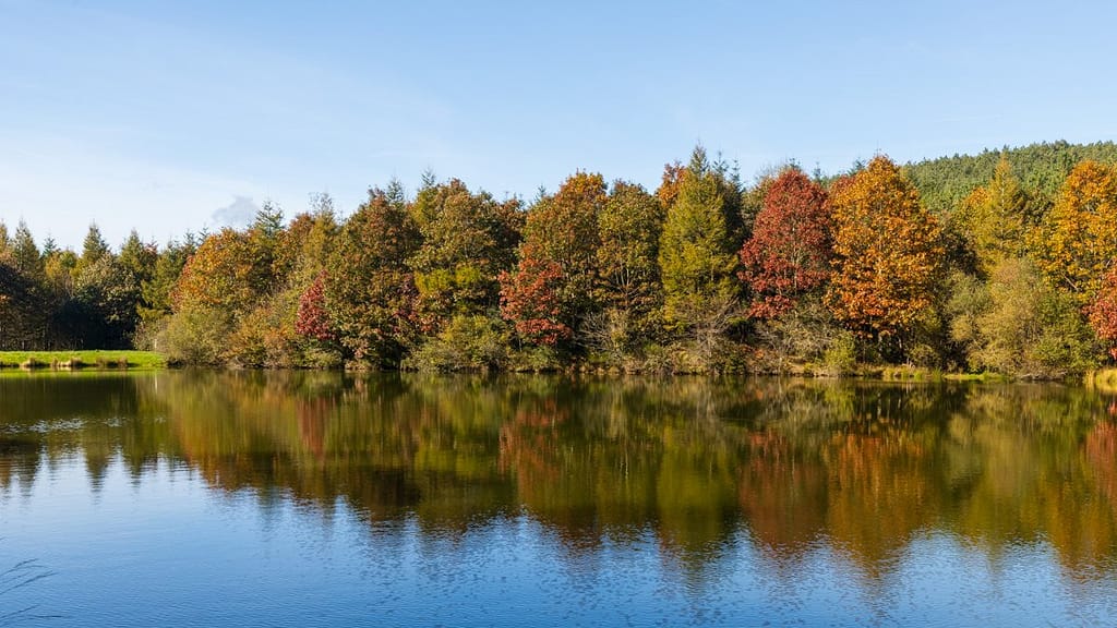 Langs de D14 richting Arfons