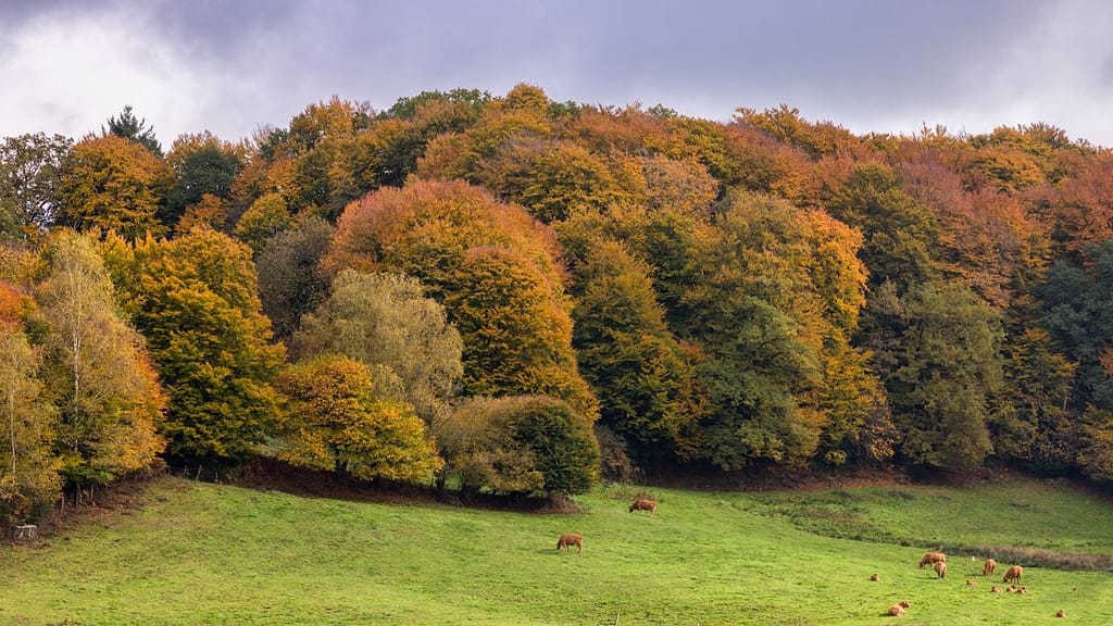 Herfstkleuren departement de Lot