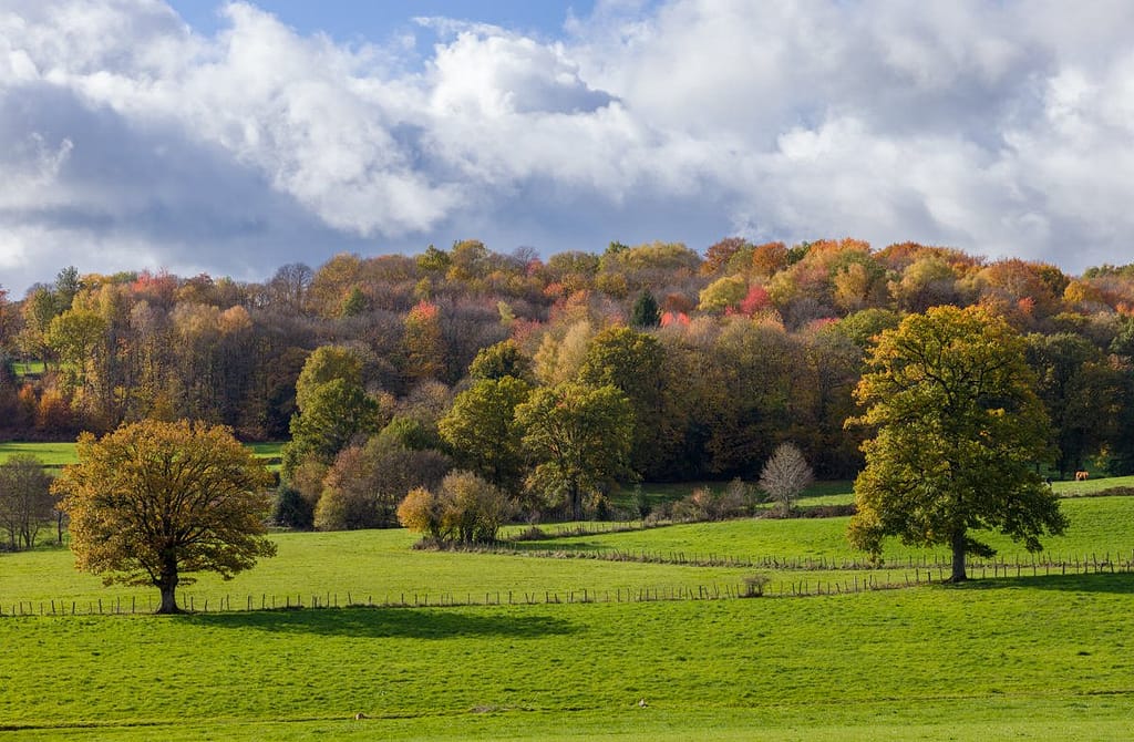 Herfstkleuren departement de Lot