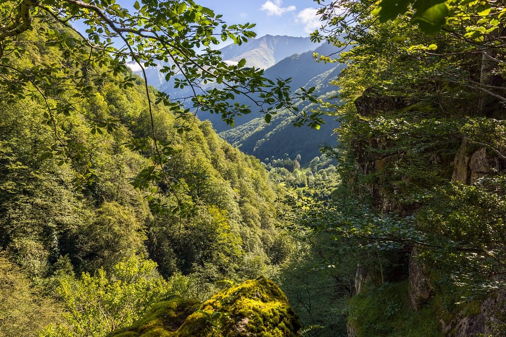 Pyreneeën in de Ariège