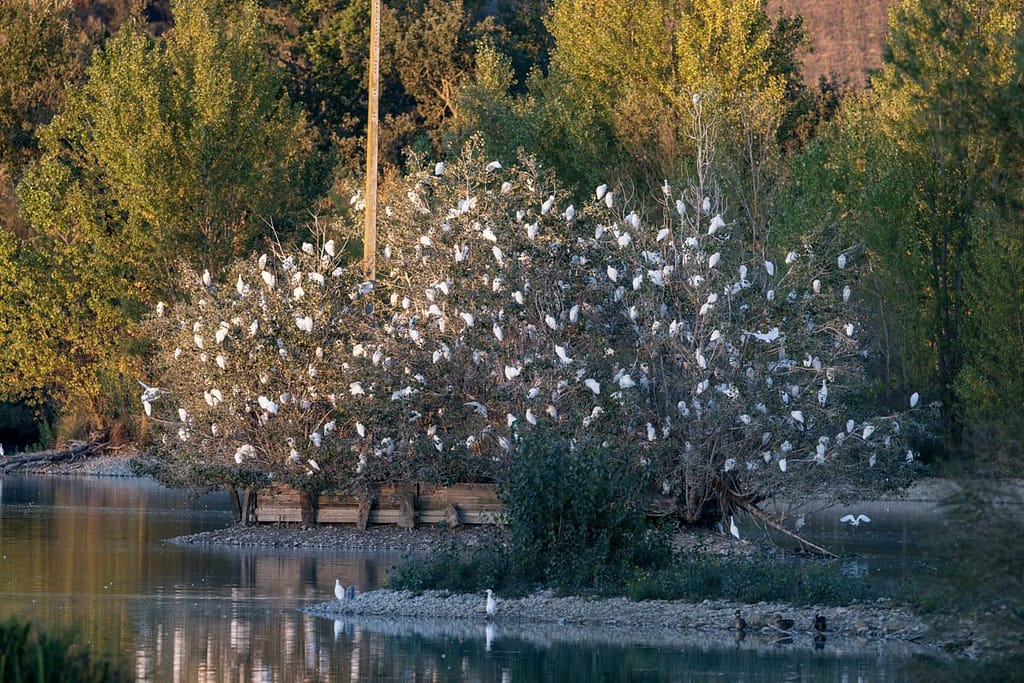 Slaapplaats koereigers op Domaine des Oiseaux, Mazères