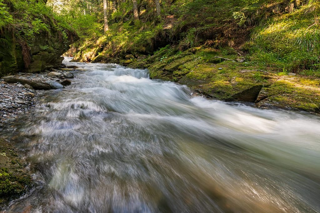 Bergbeek in la Vallée du Rioumajou