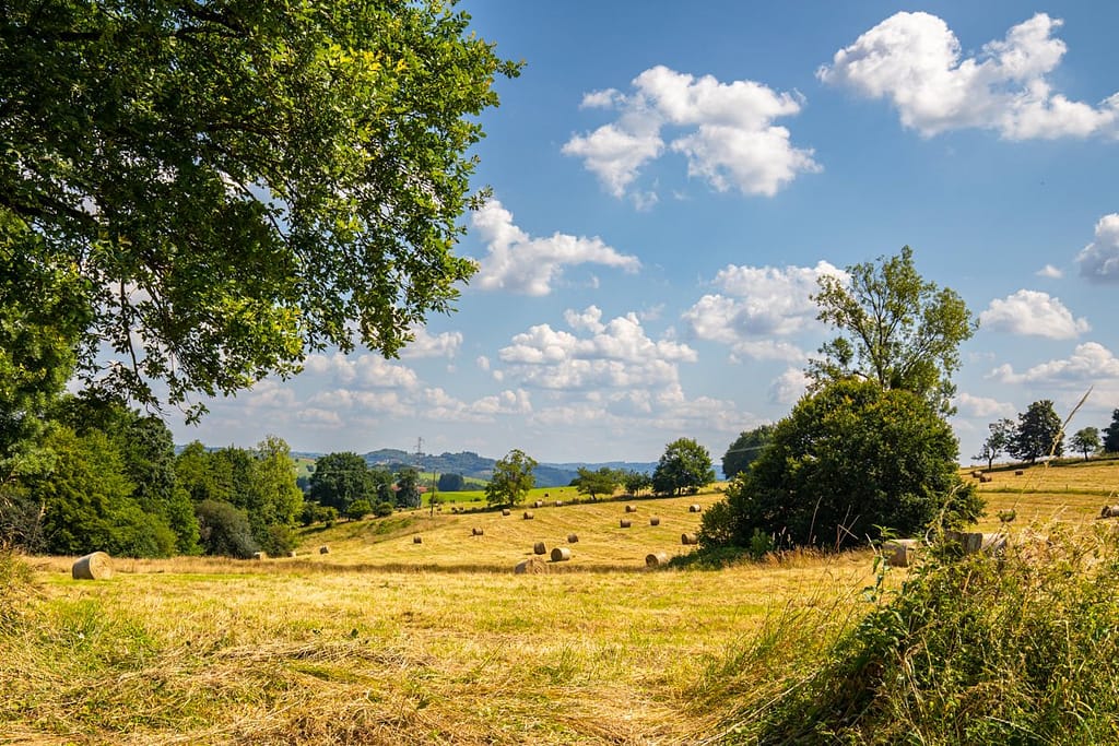 Omgeving van Saint-Laurent-les-Tours