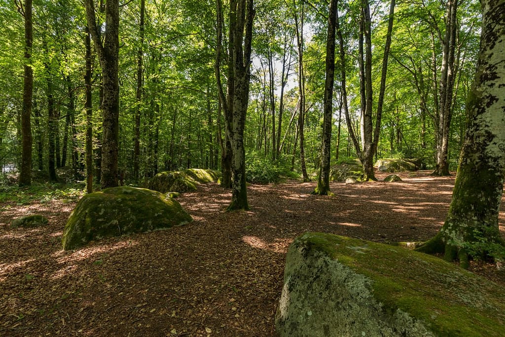 Granietblokken in de Sidobre