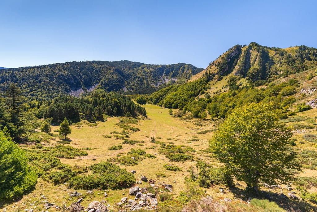 D25 Col de Pailhères