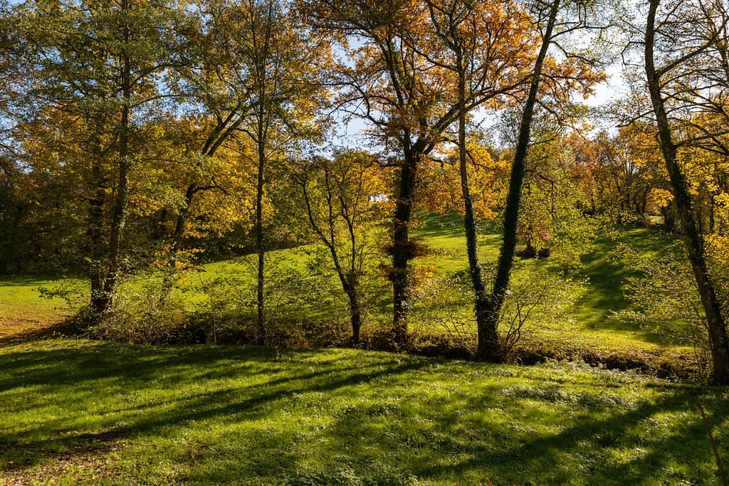 Omgeving Puylagarde in de Tarn-et-Garonne