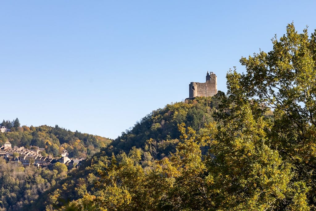 Château de Najac