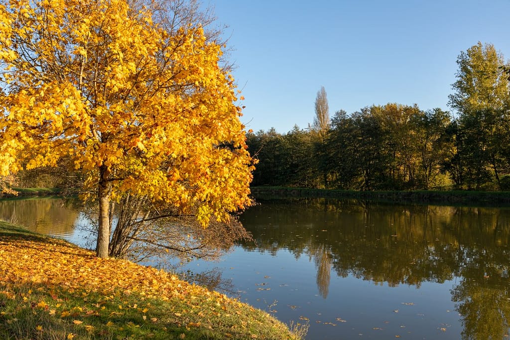 Lac de Requetch bij Mirabel