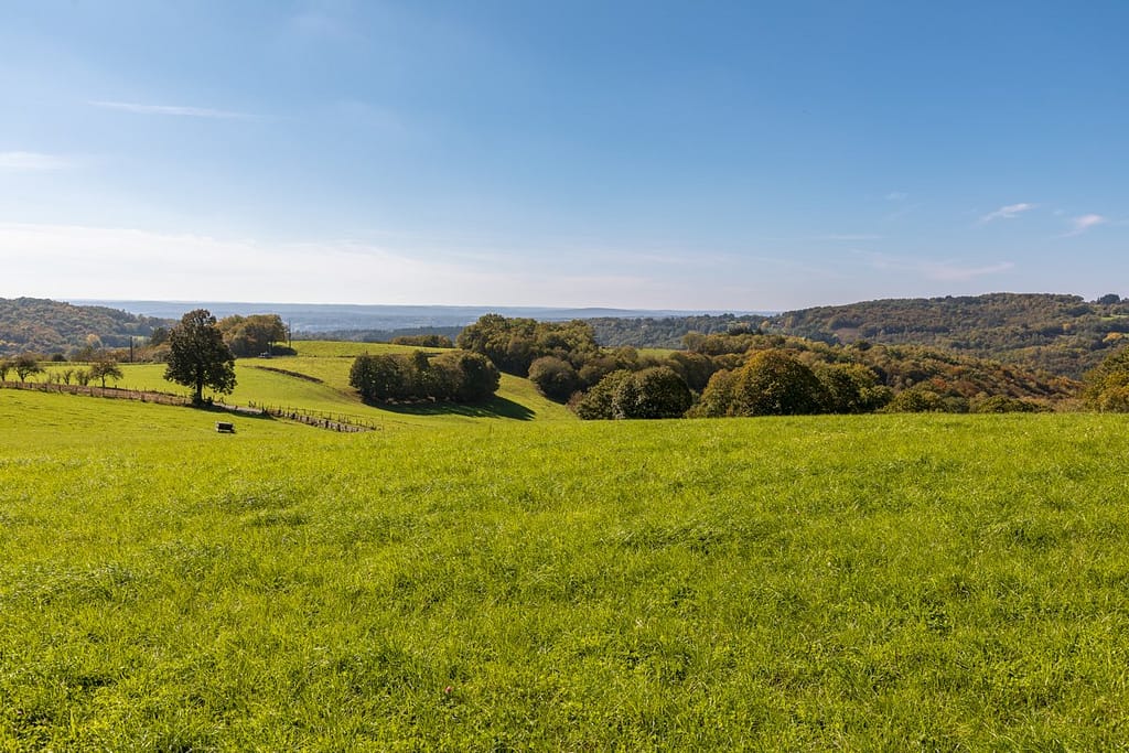 Omgeving van Lascombelles