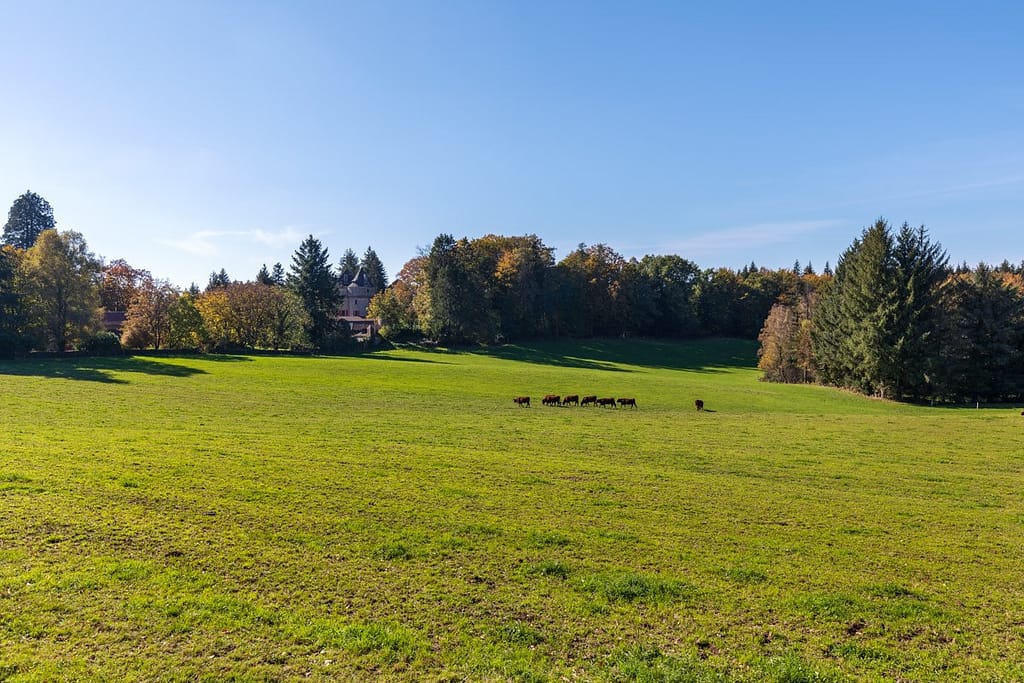 Langs de D29 bij Sousceyrac-en-Quercy