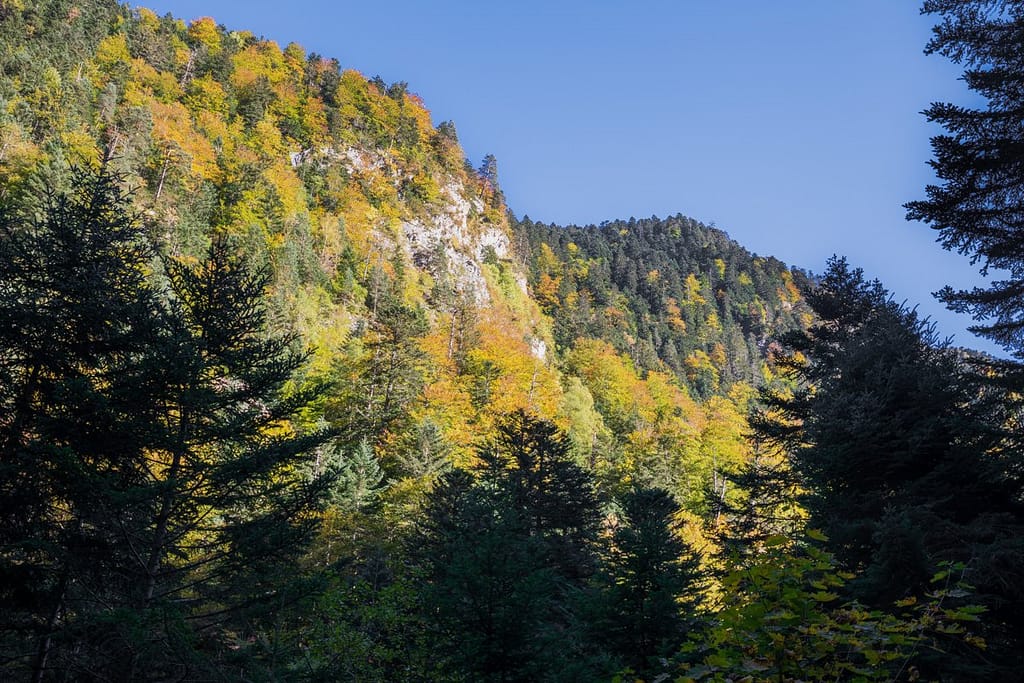 D19 Vallée de Rioumajou