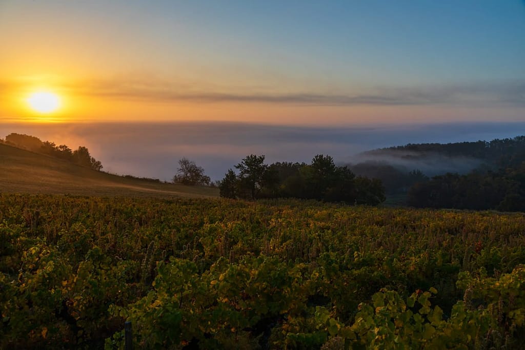 Langs de D10 richting Graulhet