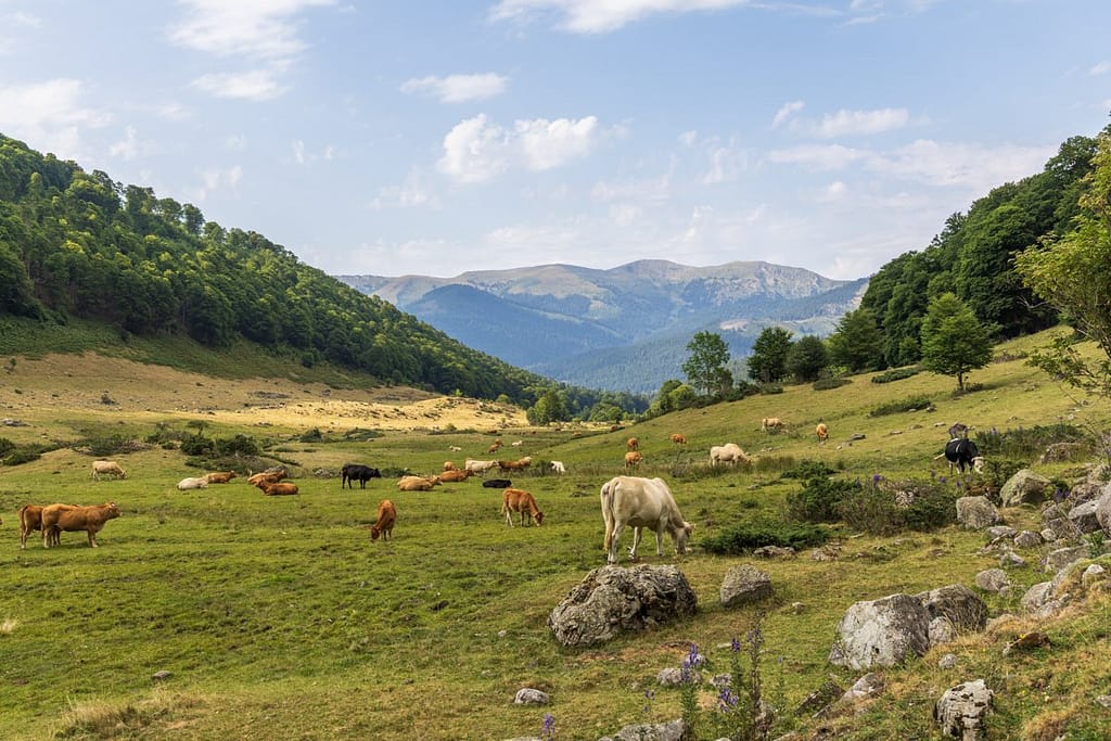 D918 Col du Toumalet