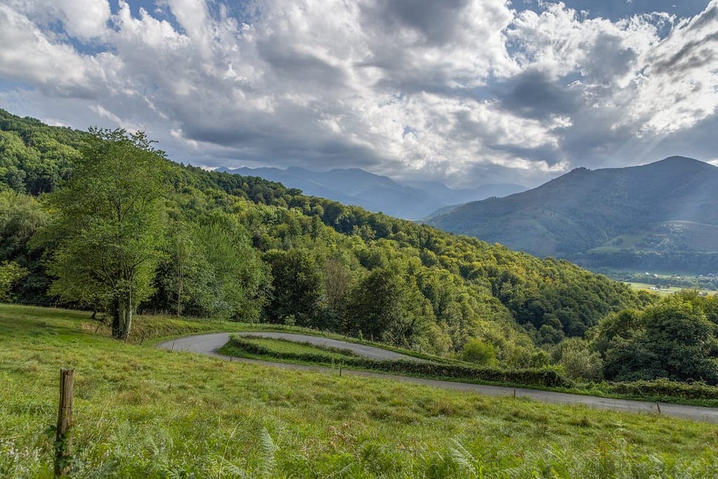 D84 Col des Palomières