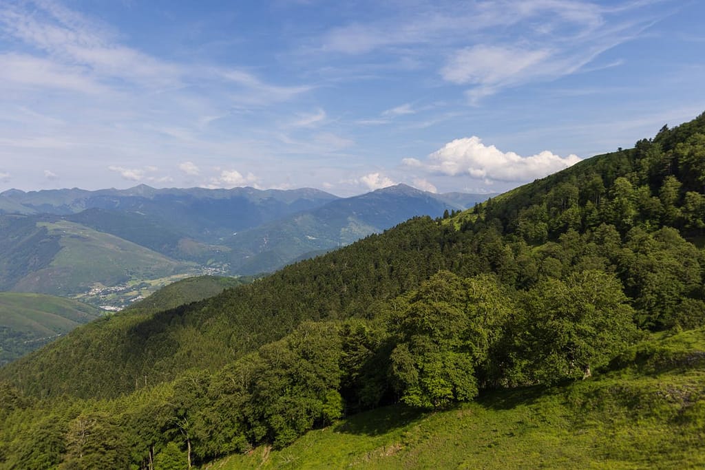 Col d'Aspin