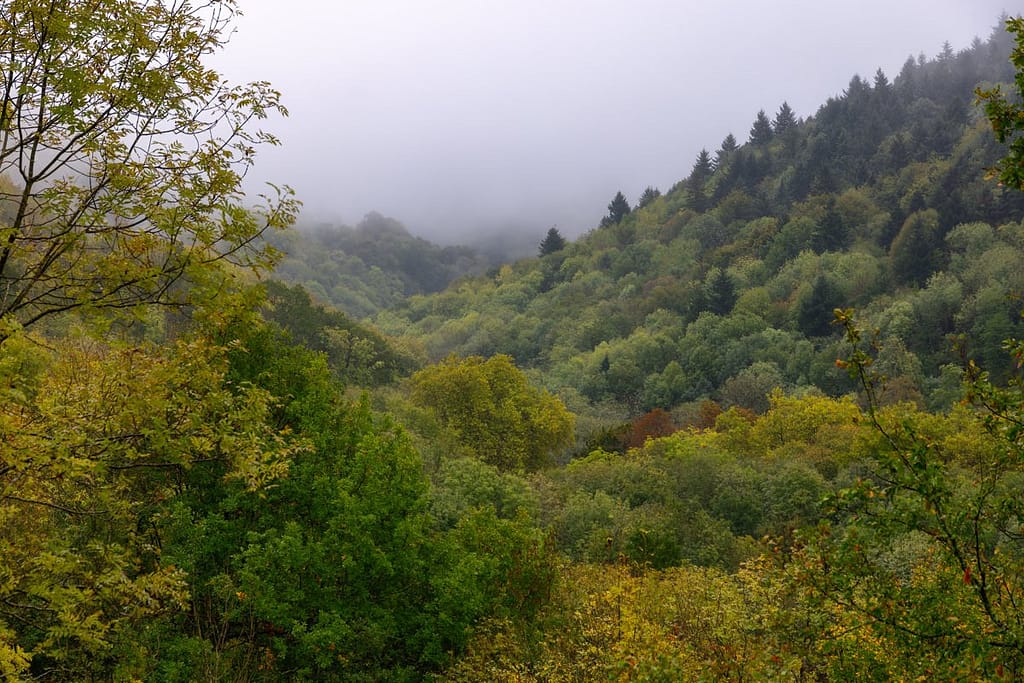 Langs D629 voorbij Revel