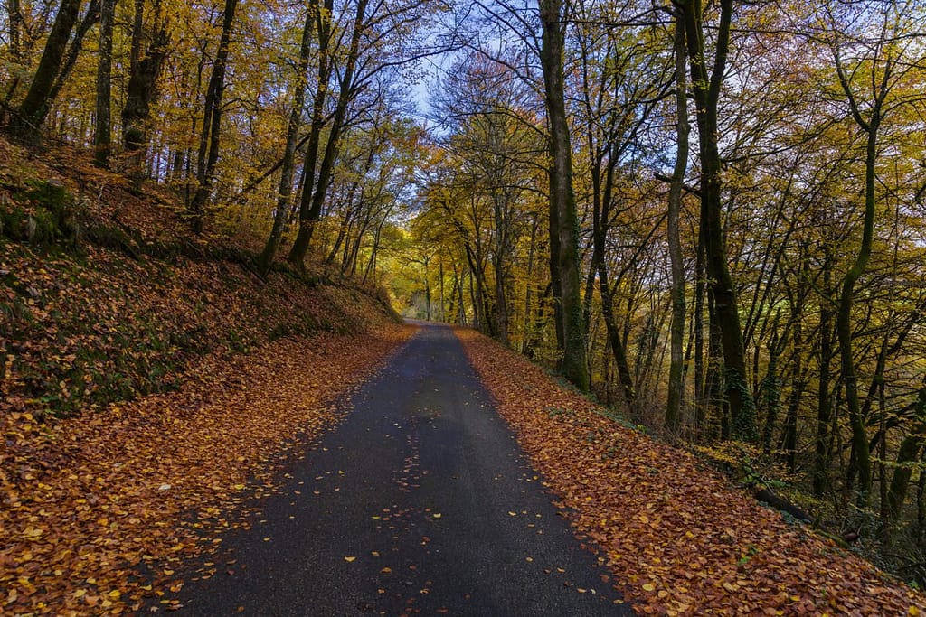 Herfstkleuren in departement de Lot