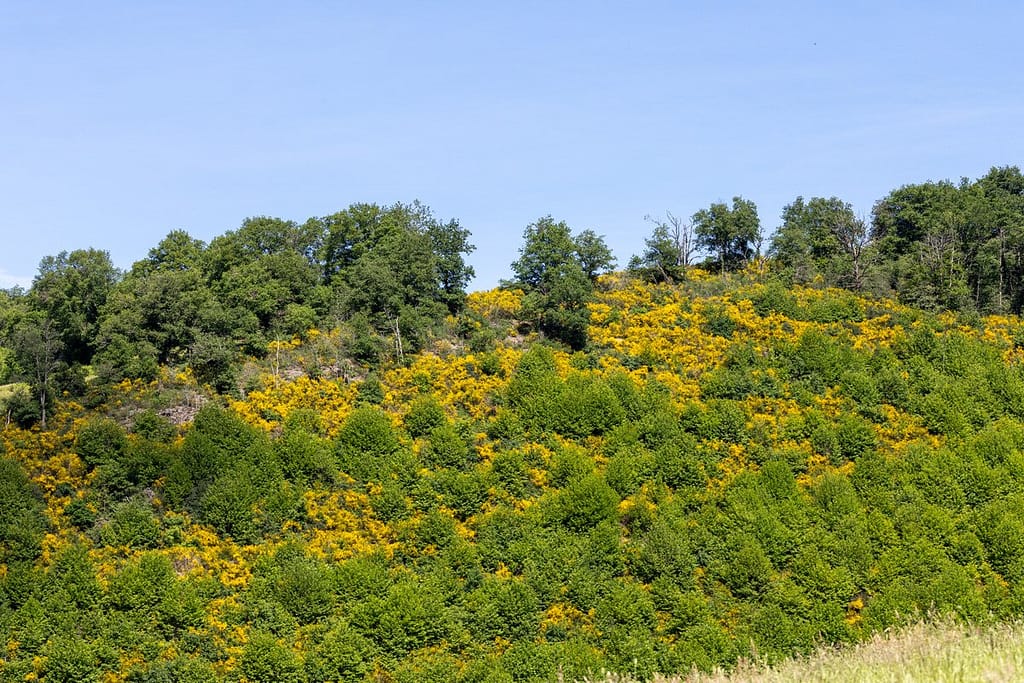 Uitzicht langs wandelroute Sentier du chevreuil