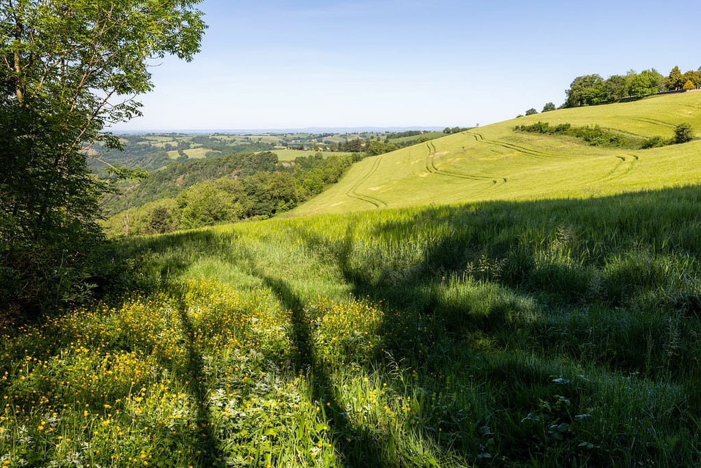 Uitzicht langs wandelroute Sentier du chevreuil