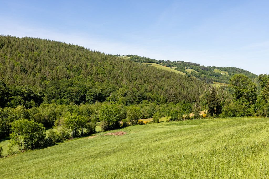 Uitzicht langs wandelroute Sentier du chevreuil