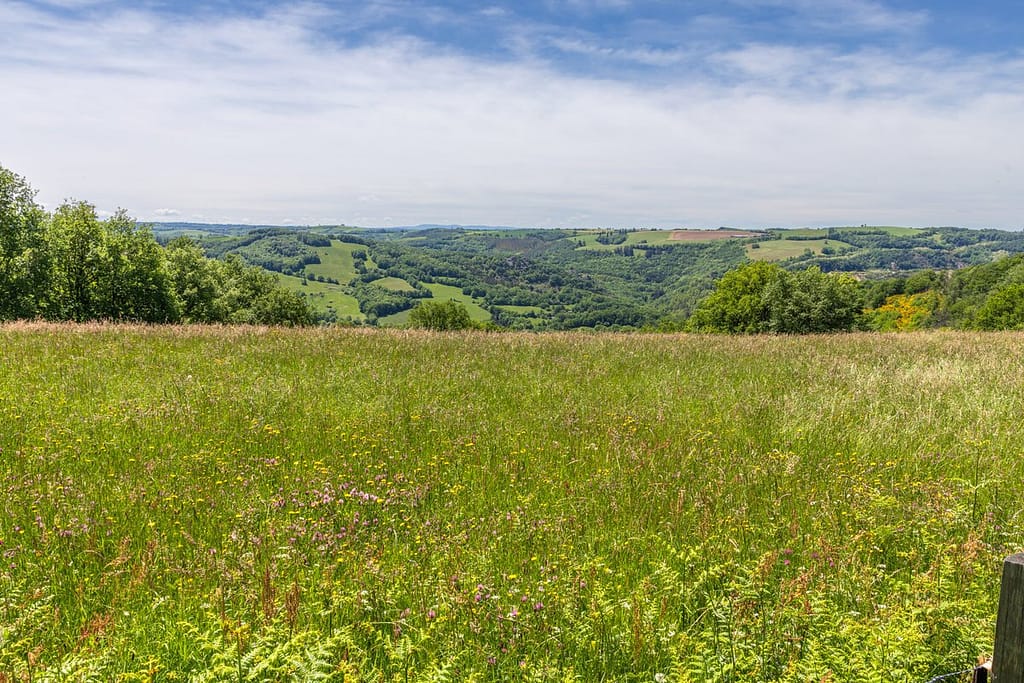 Uitzicht langs wandelroute Sentier du chevreuil