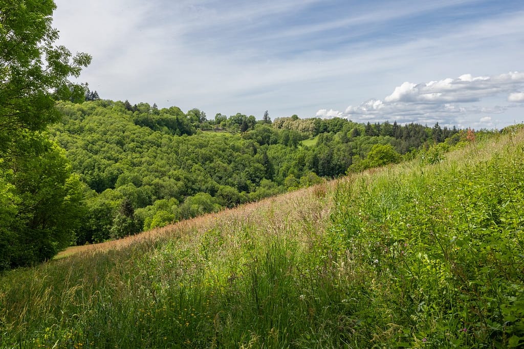 Uitzicht langs wandelroute Sentier du chevreuil