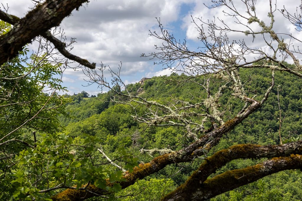 Uitzicht langs wandelroute Roc de Miramont - Castelpers
