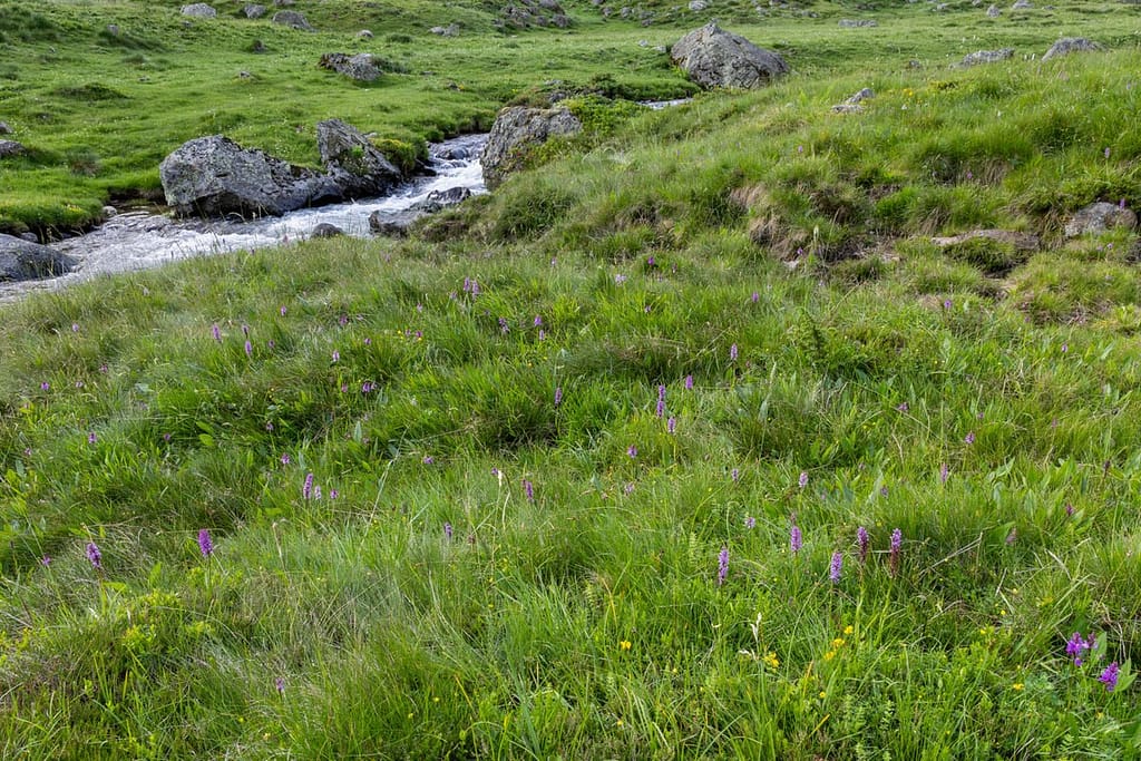 Uitzicht langs wandeling naar Étangs de Fontargente