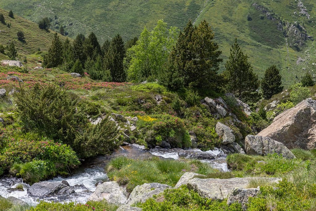 Uitzicht langs wandeling naar Étangs de Fontargente