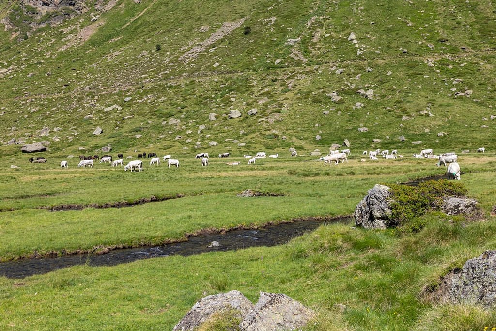 Vallée de Soulcem