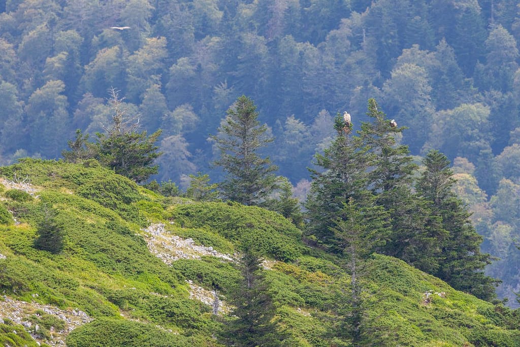 Gieren gezien vanaf de Pic de l'Escalette