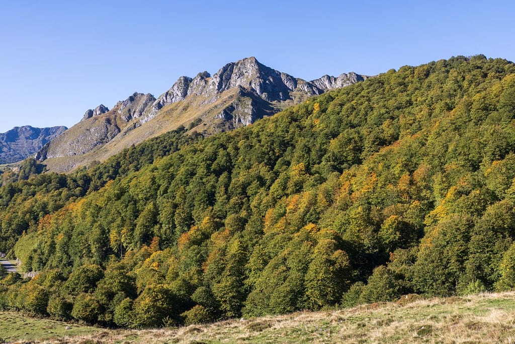 Wandeling naar Port de Saleix, Étang d'Alate en Port de Bassies in de Pyreneeën (36)