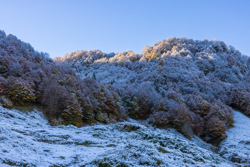 Wandelen naar Étang de Labant, Pyreneeën, département Ariège