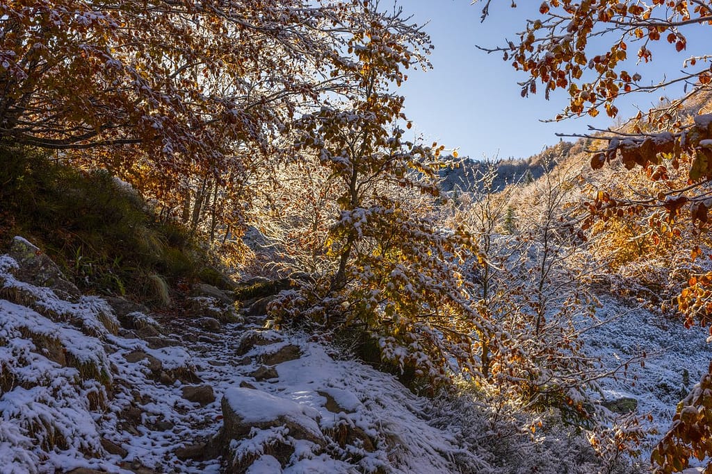 Wandelen naar Étang de Labant, Pyreneeën, département Ariège