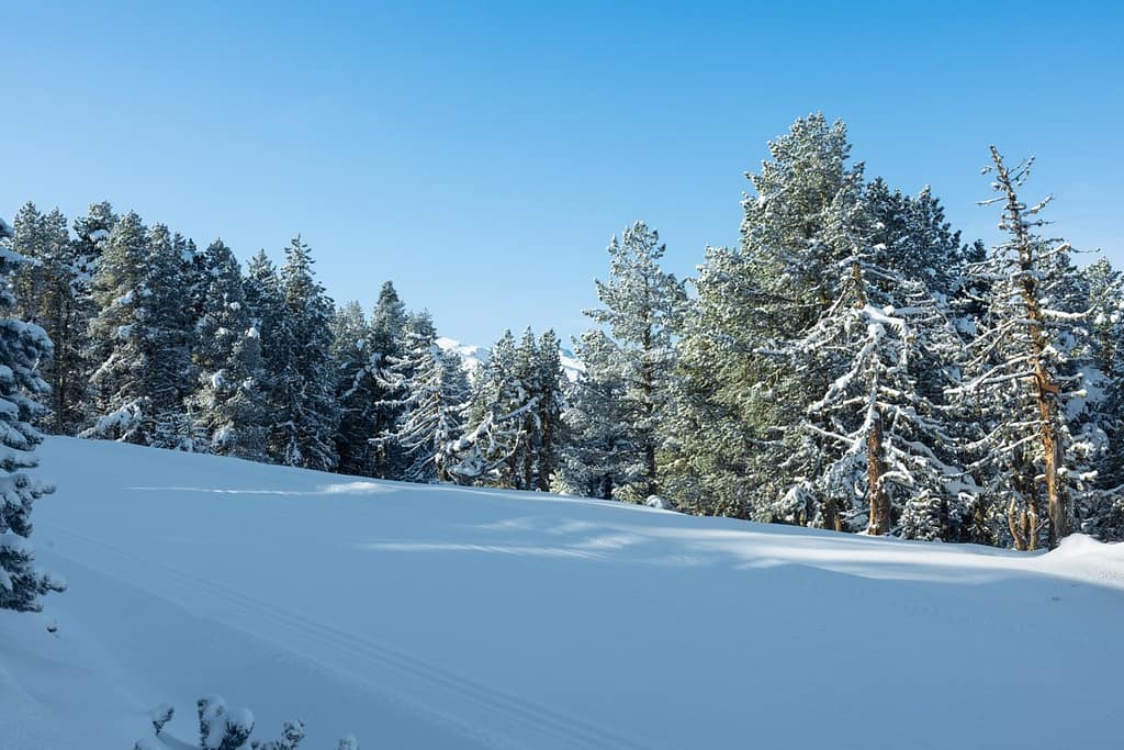 Winter op Plateau de Beille in de Pyreneeën