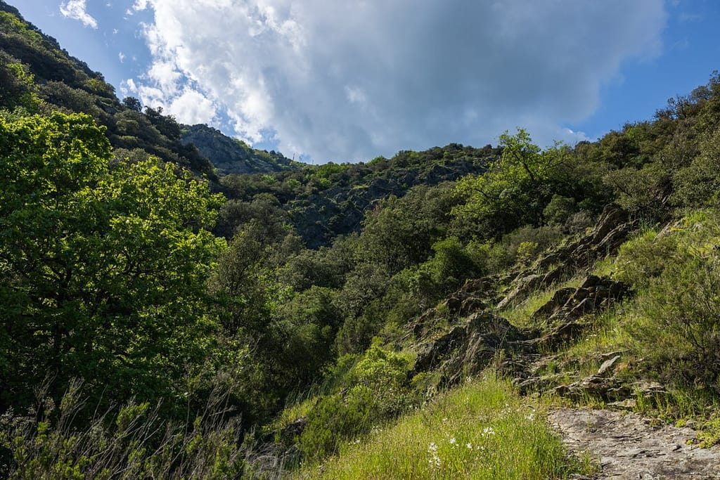 Gebied laatste afdaling