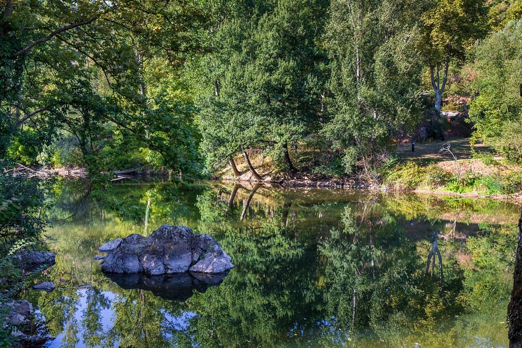 Tussen Laguépie en Le Riols