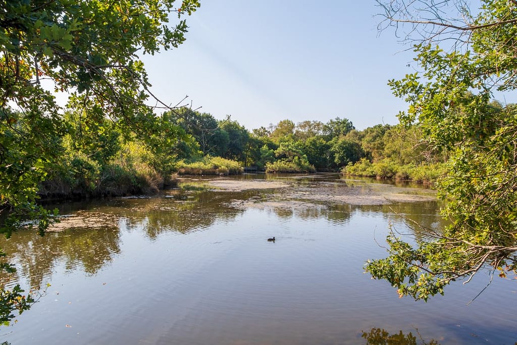 Réserve Ornitologique du Teich