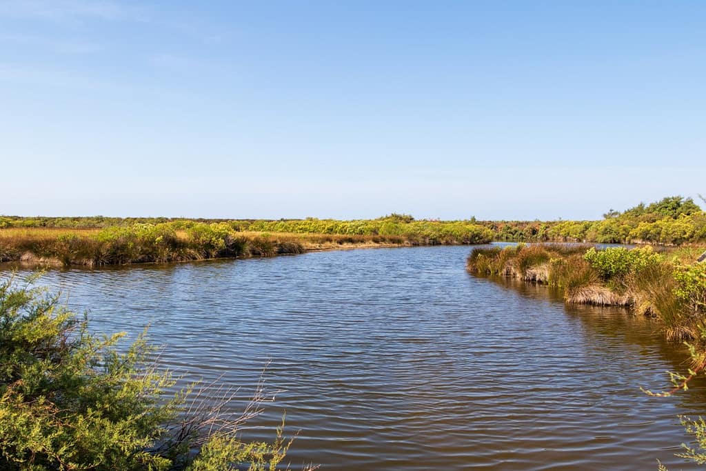 Réserve Ornitologique du Teich
