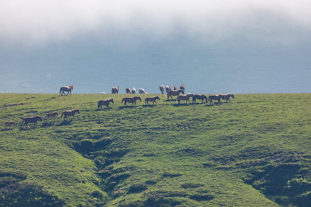 Col de la Hourquette de d'Ancizan