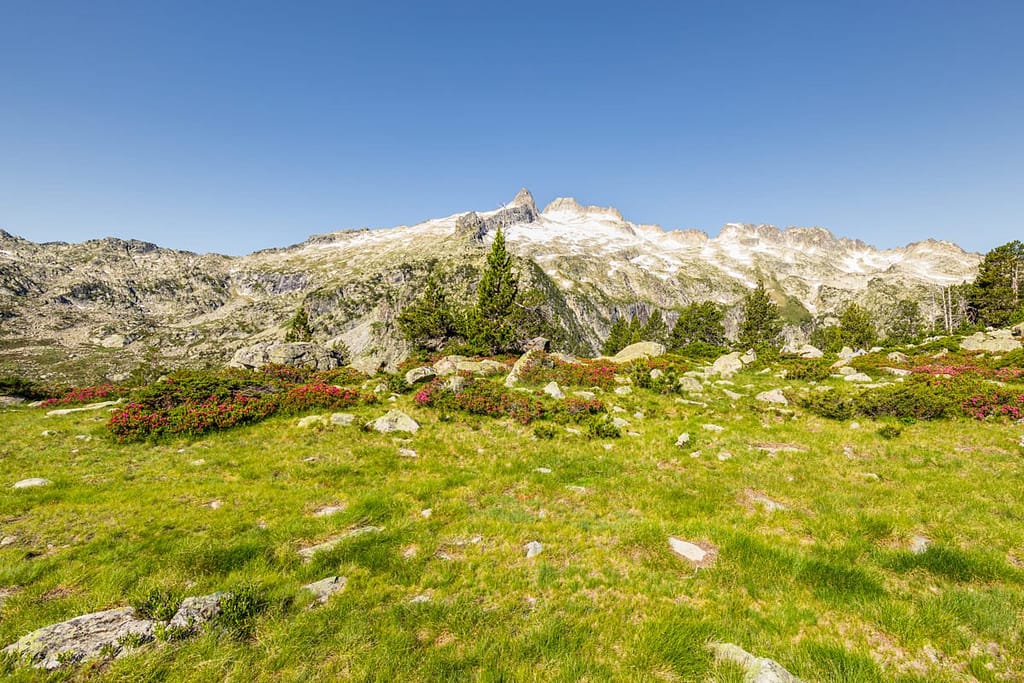 Uitzicht op Massif de Néouveille