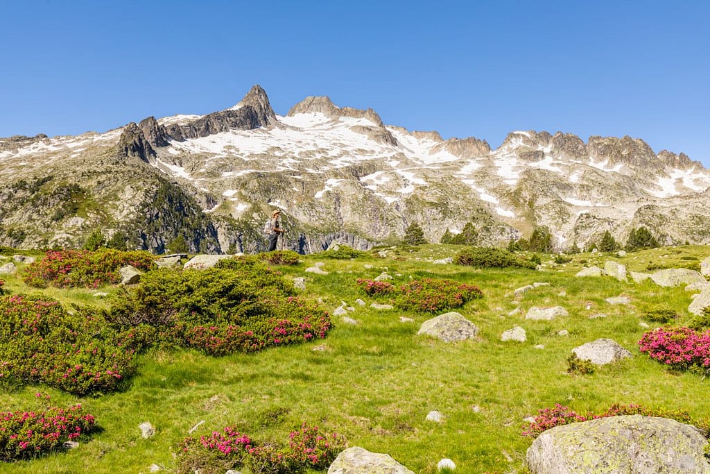 Massif de Néouveille