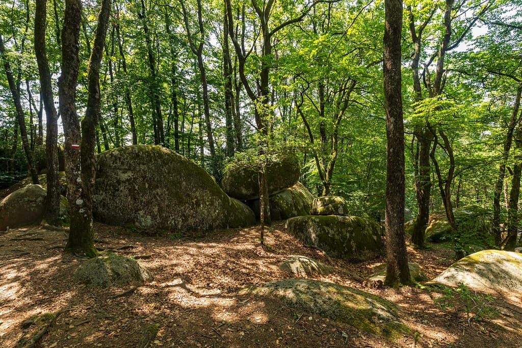 Granietblokken in de Sidobre