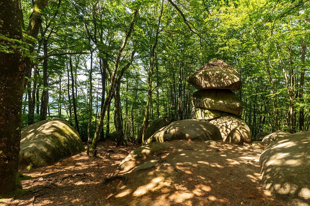 Granietblokken in de Sidobre