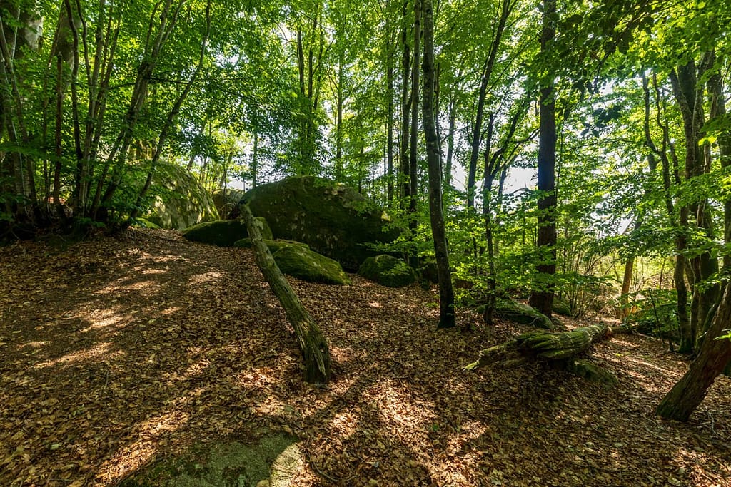 Granietblokken in de Sidobre